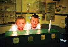 Attractions and Family Destinations in Southwest Florida Light bulb installation at the Edison Museum. Photo © The Lee County Visitor & Convention Bureau